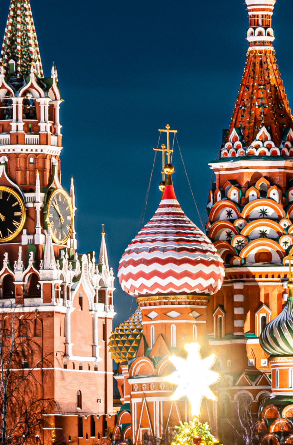 圣瓦西里主教座堂 - 4