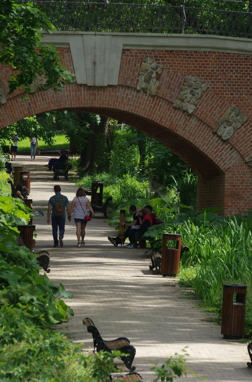 内斯库奇尼花园 - 4