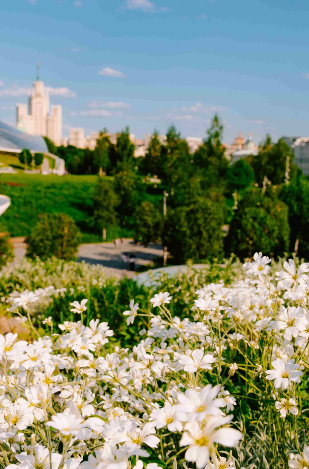 扎里亚季耶公园 - 10