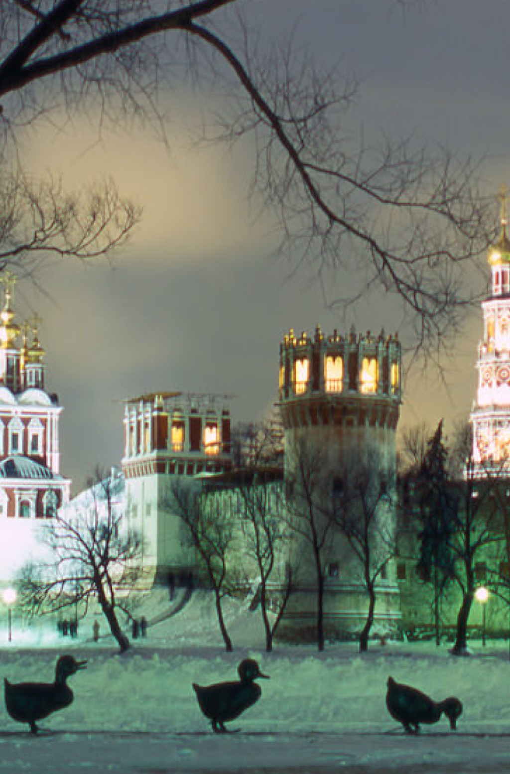 新诺沃德维奇池塘公园 - 6