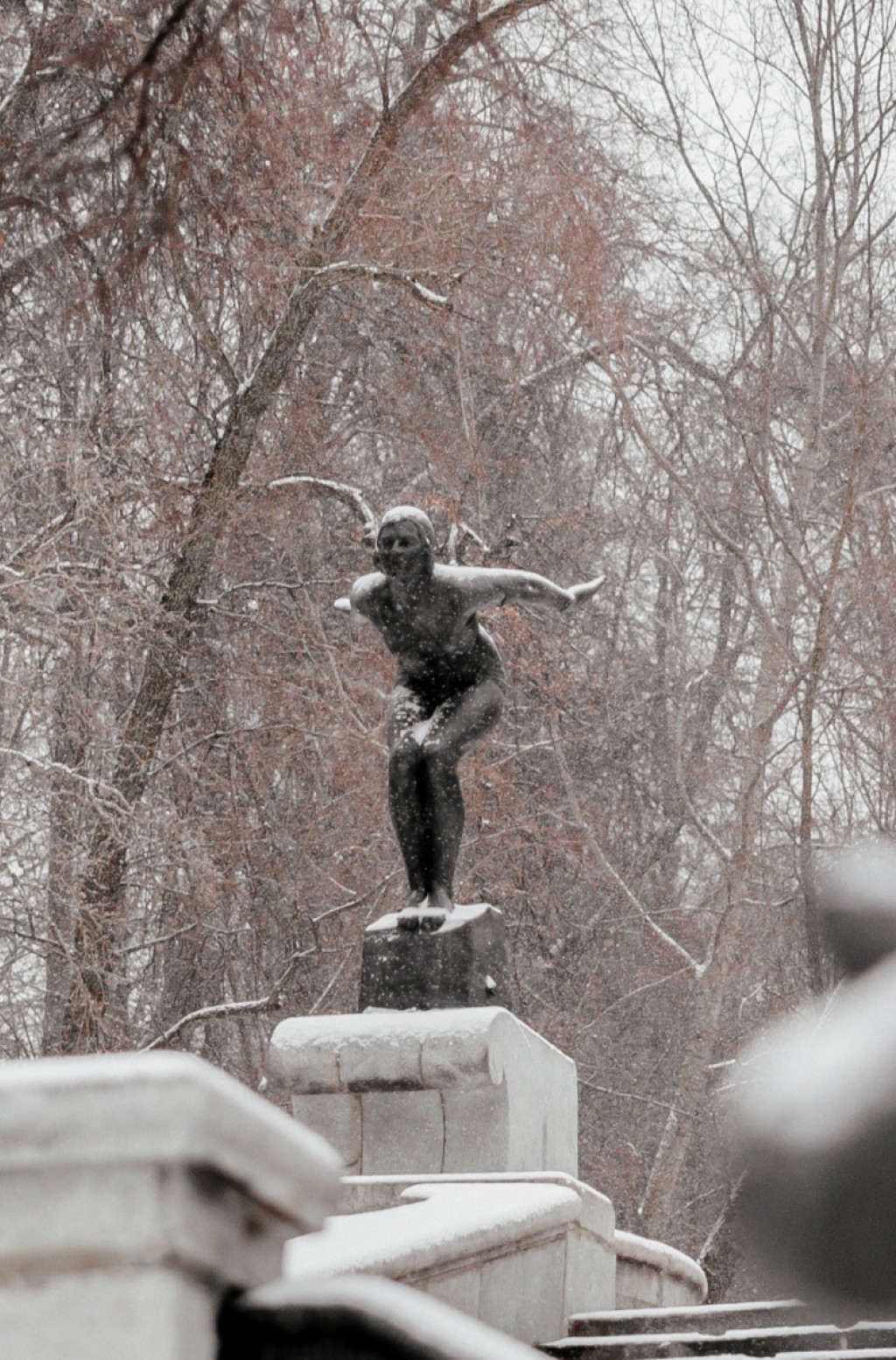 内斯库奇尼花园 - 5