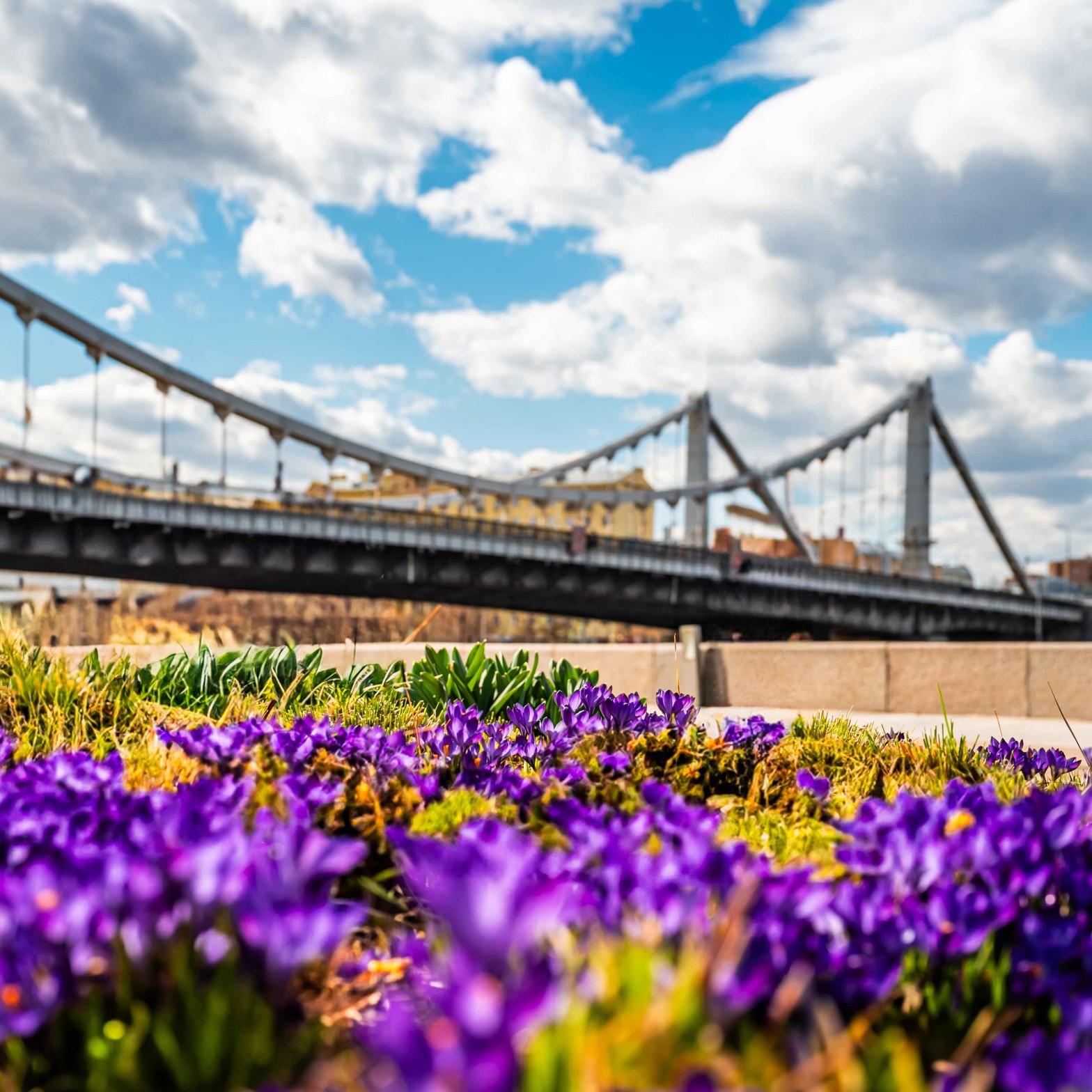 Museon艺术公园 - 13