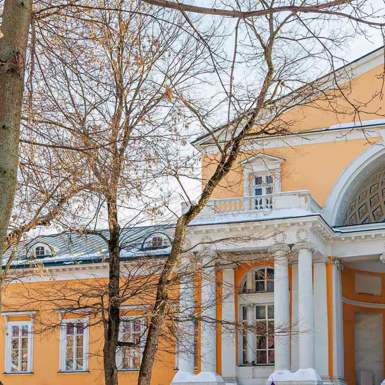 拉祖莫夫斯基的庄园 - 1