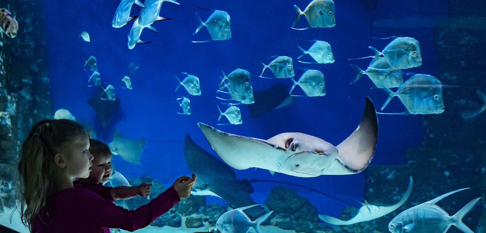 莫斯科海洋馆 - 14