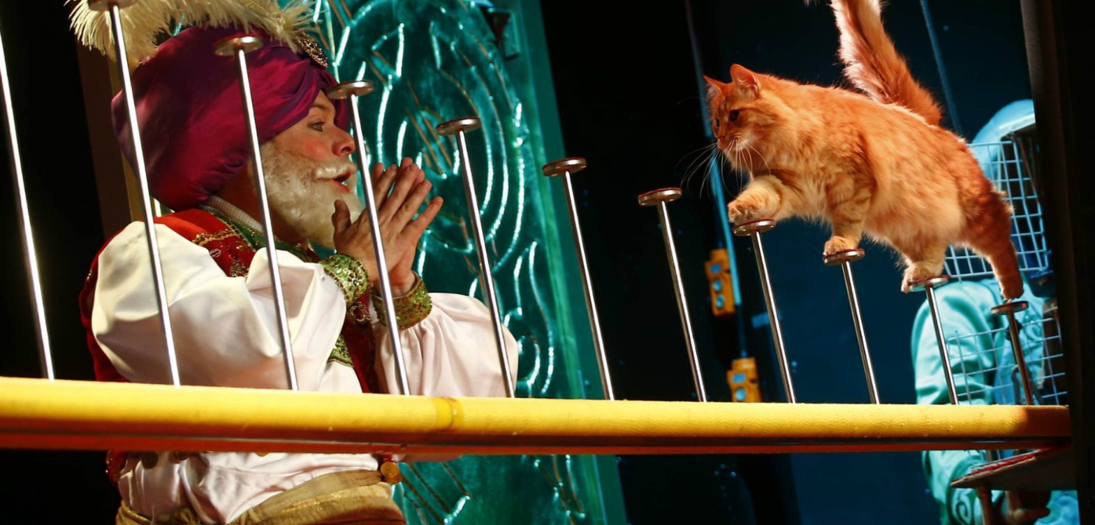 库克拉乔夫猫咪主题剧院（Kuklachov Cats Theatre） - 2