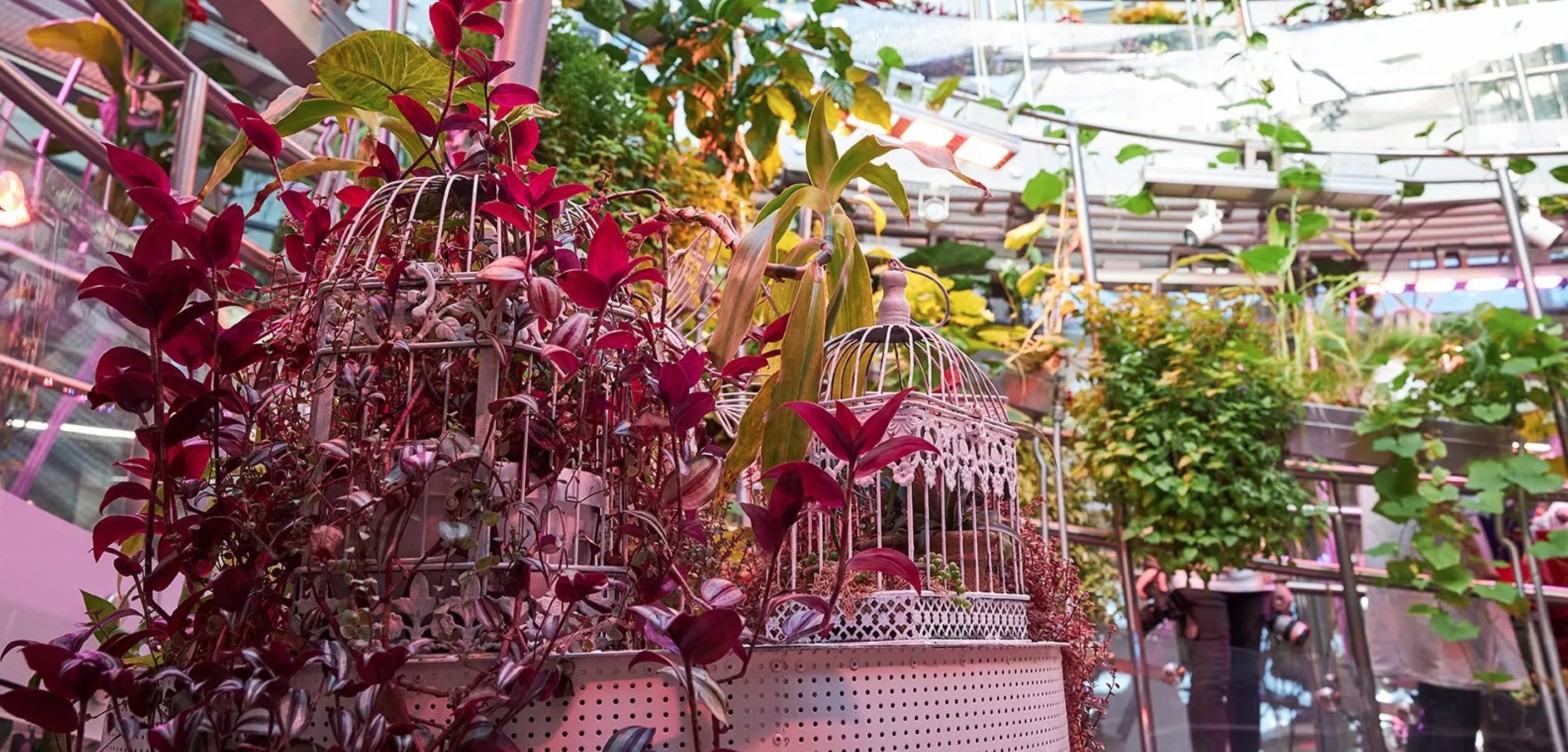 扎里亚季公园的植物园