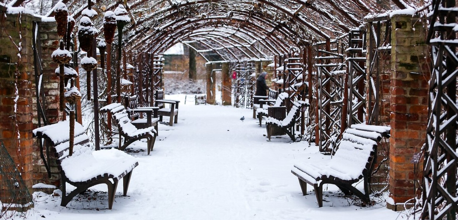城市中心的绿洲：药剂师花园照片集锦