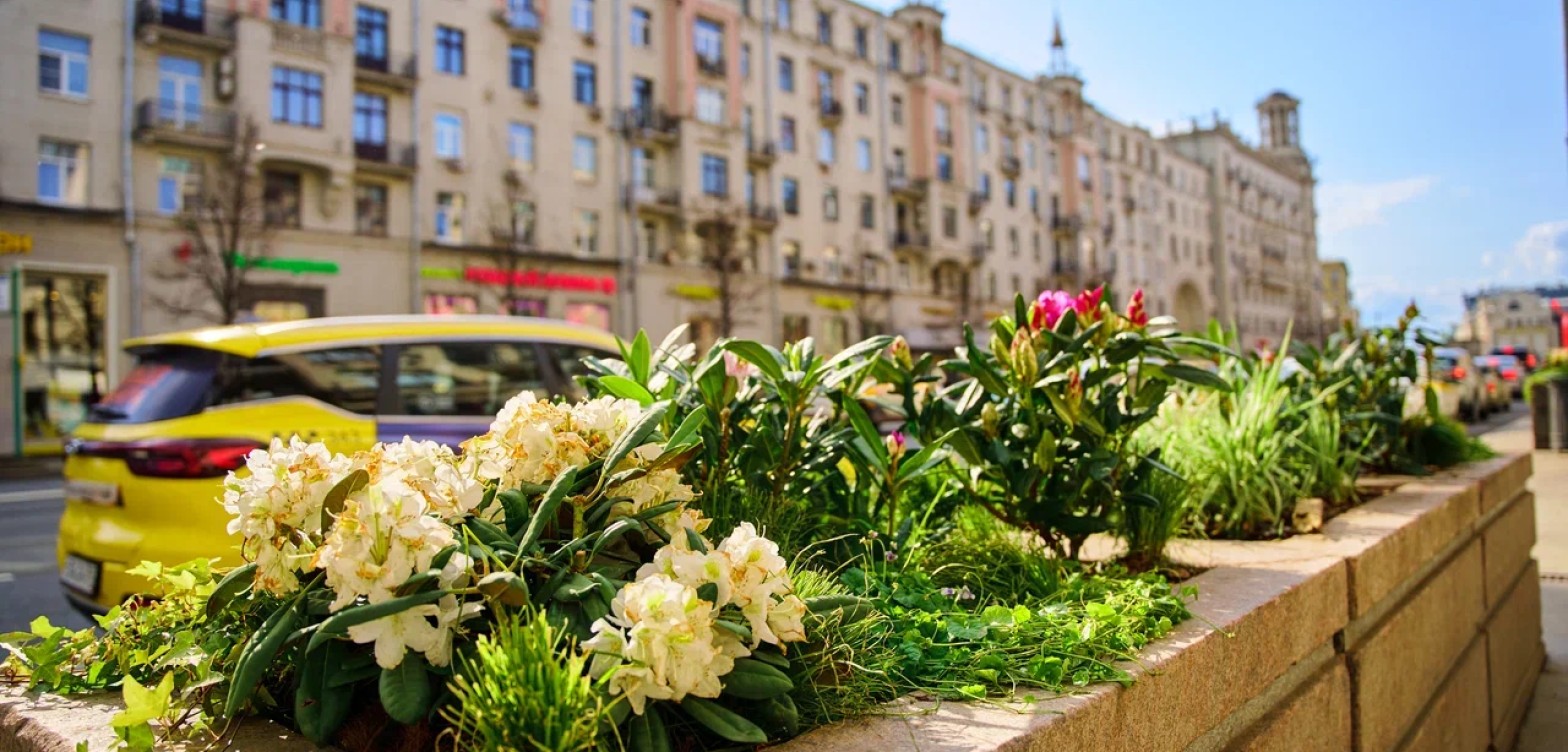 波希米亚莫斯科路线 - 2