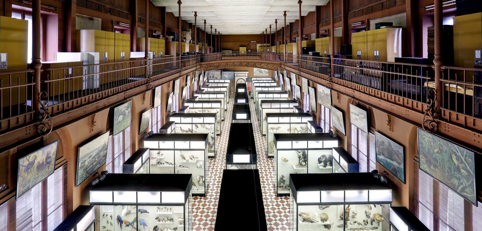 莫斯科国立大学动物博物馆 - 19