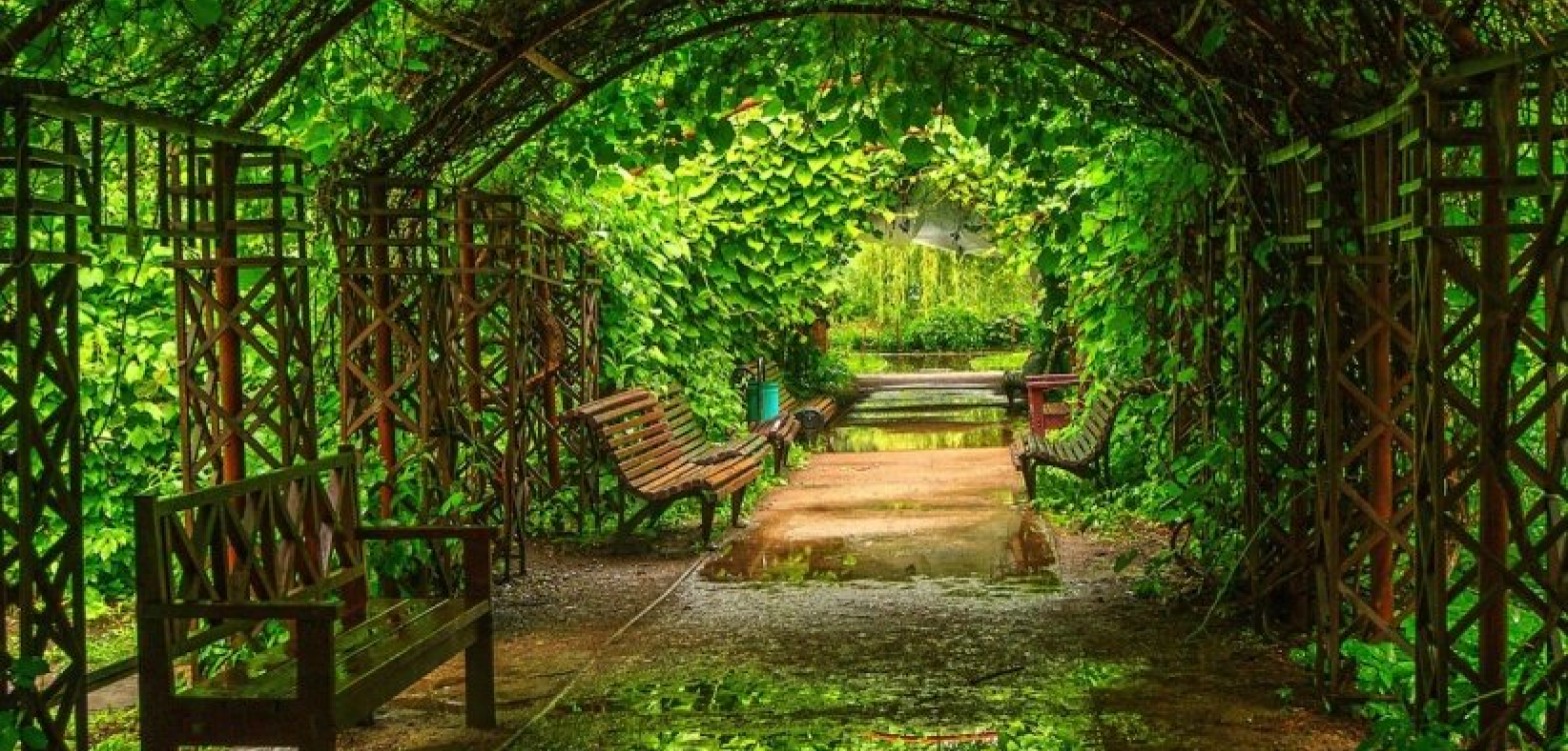 城市中心的绿洲：药剂师花园照片集锦