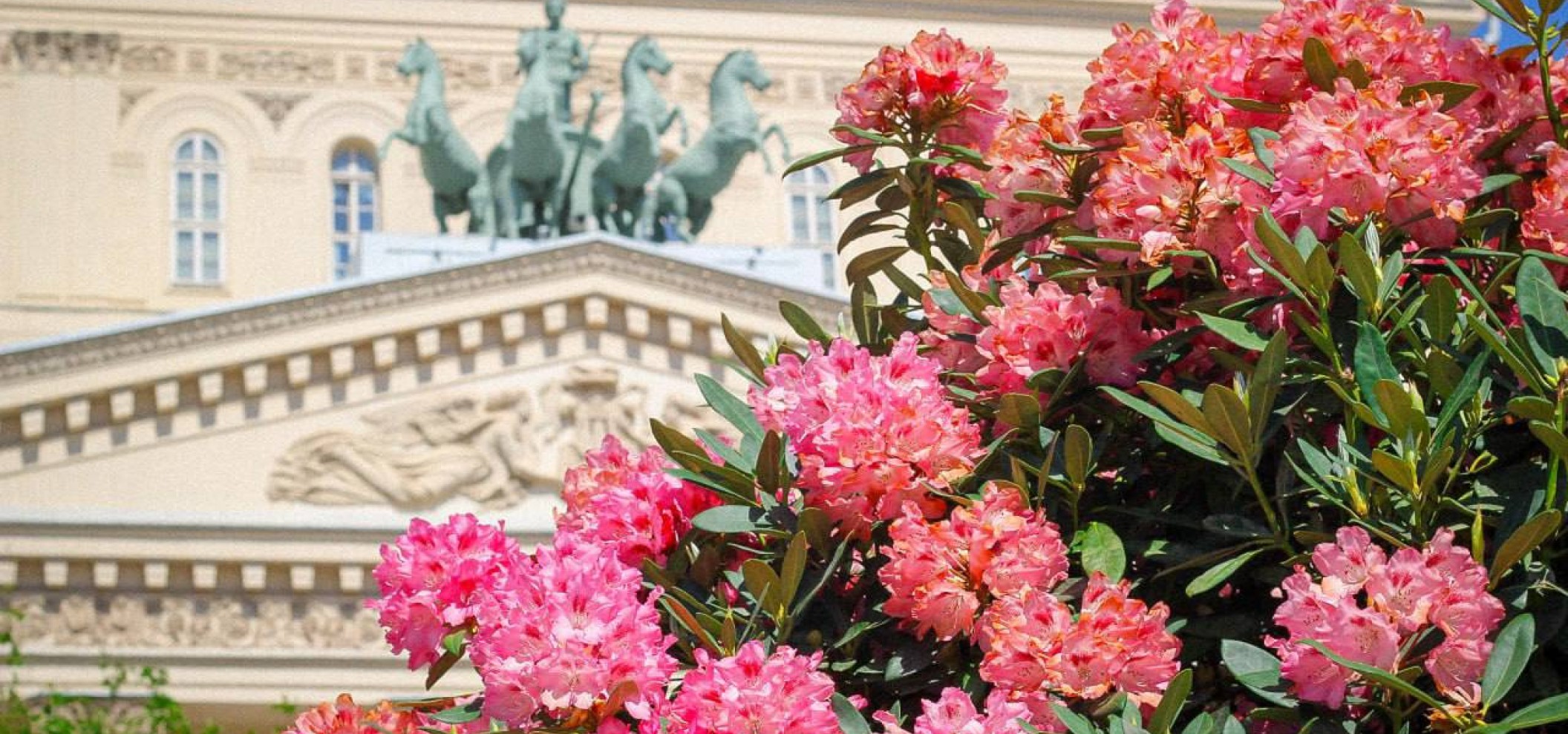 “花园与鲜花”节  - 1