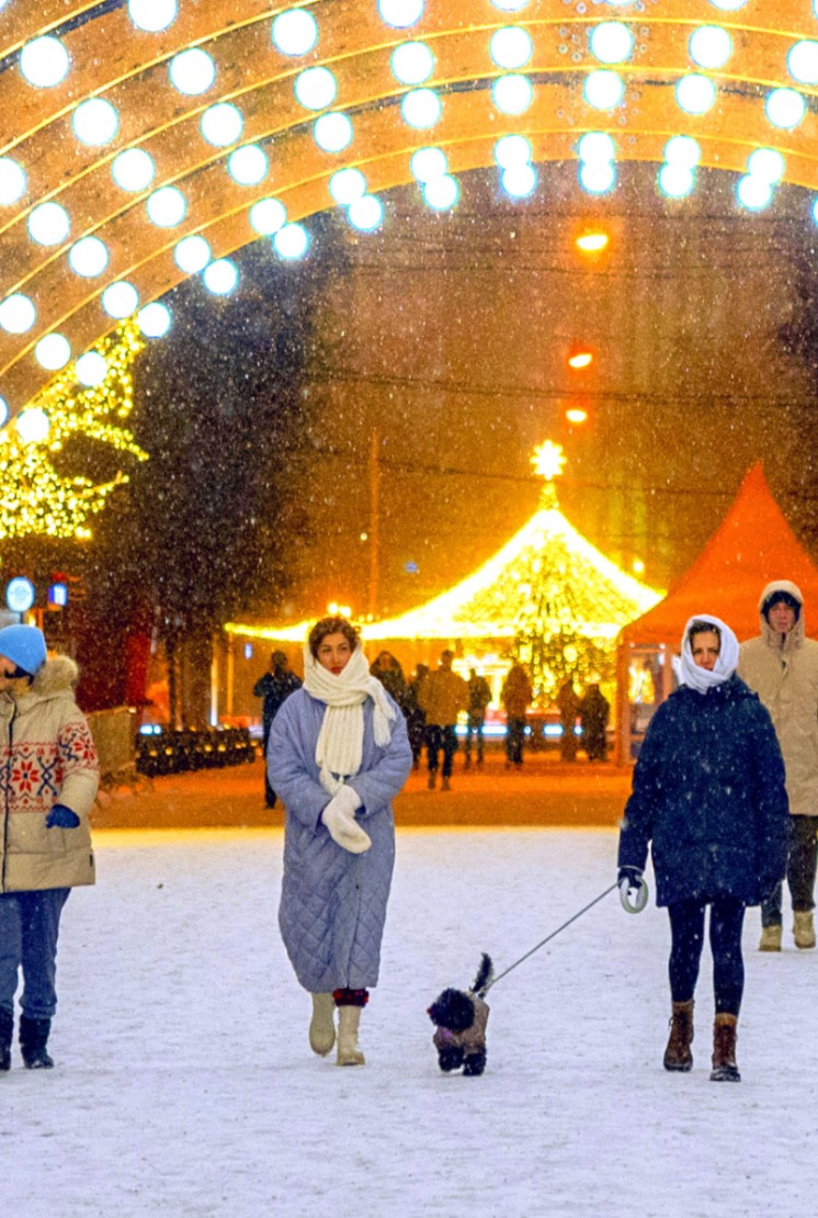 索科尔尼基公园 - 9