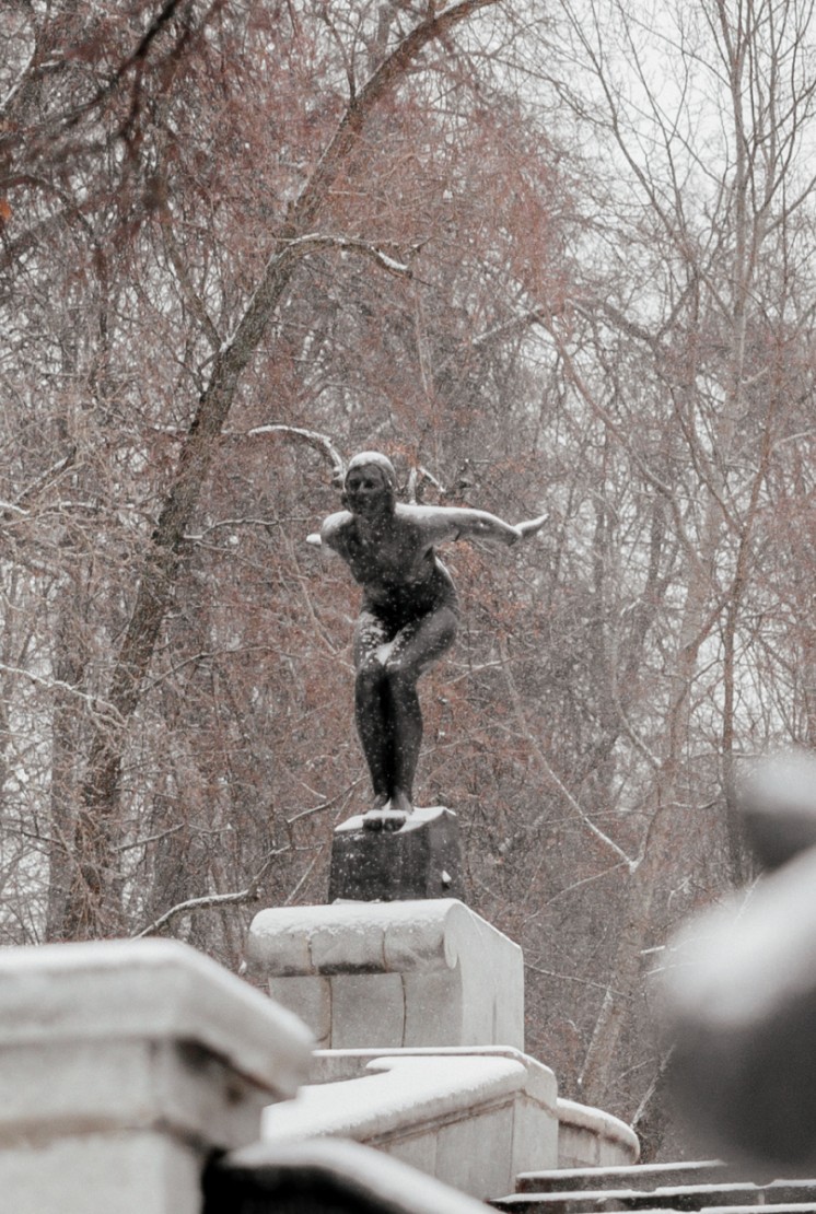 内斯库奇尼花园 - 5