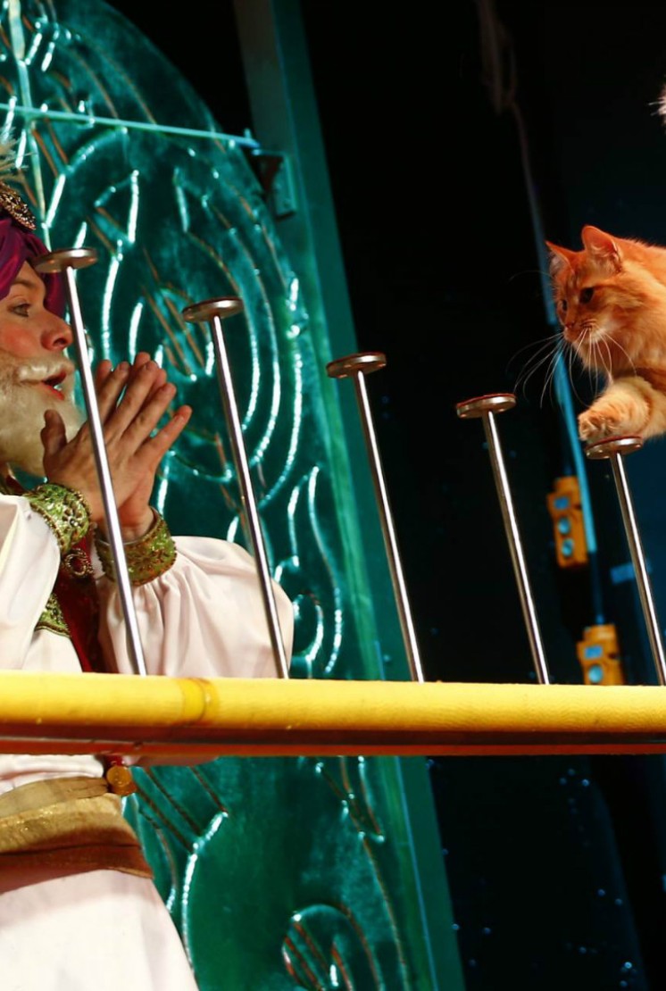 库克拉乔夫猫咪主题剧院（Kuklachov Cats Theatre） - 2