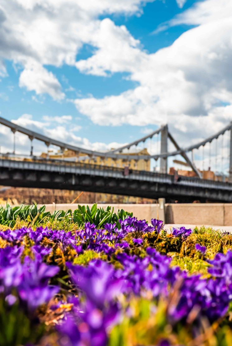 Museon艺术公园 - 14