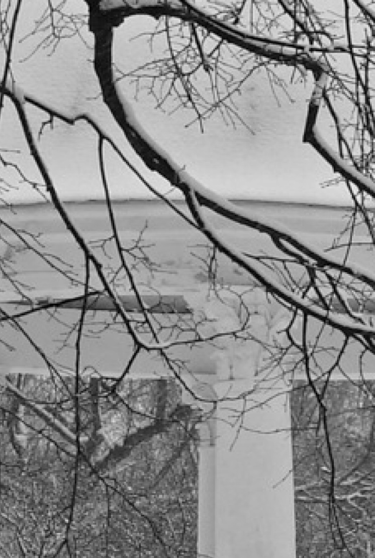 叶卡捷琳娜公园 - 3