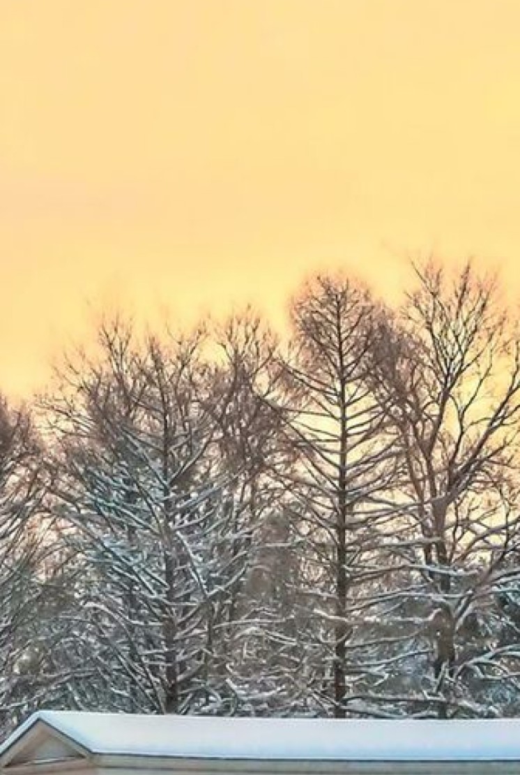 阿尔汉格尔斯科耶庄园 - 3