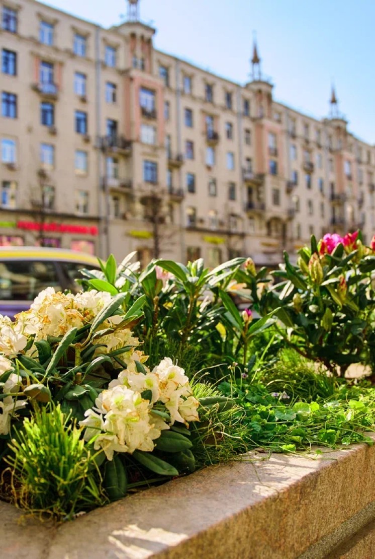 波希米亚莫斯科路线 - 2