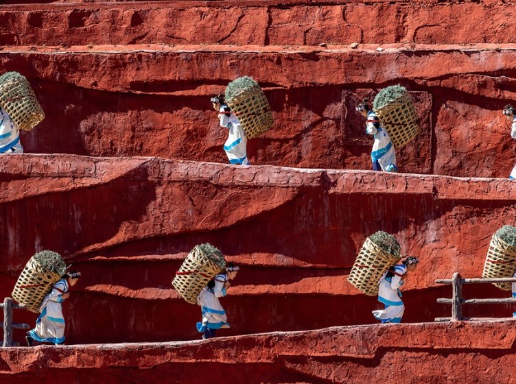 国立达尔文博物馆