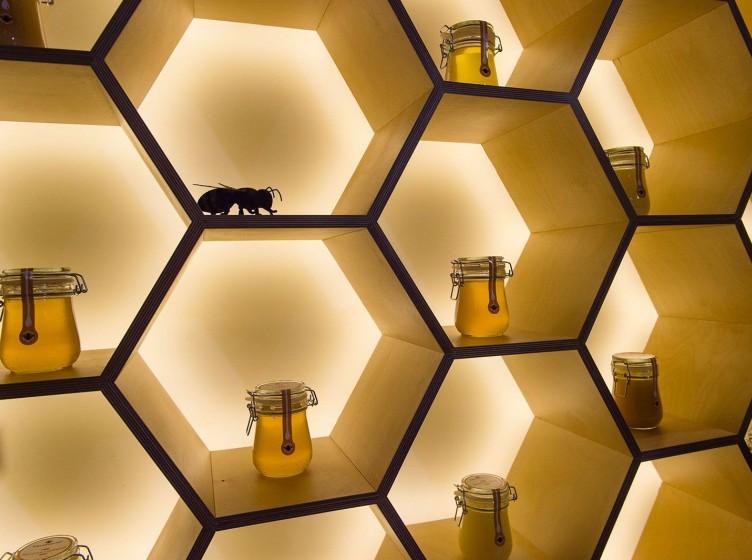 季米里亚泽夫国立生物博物馆