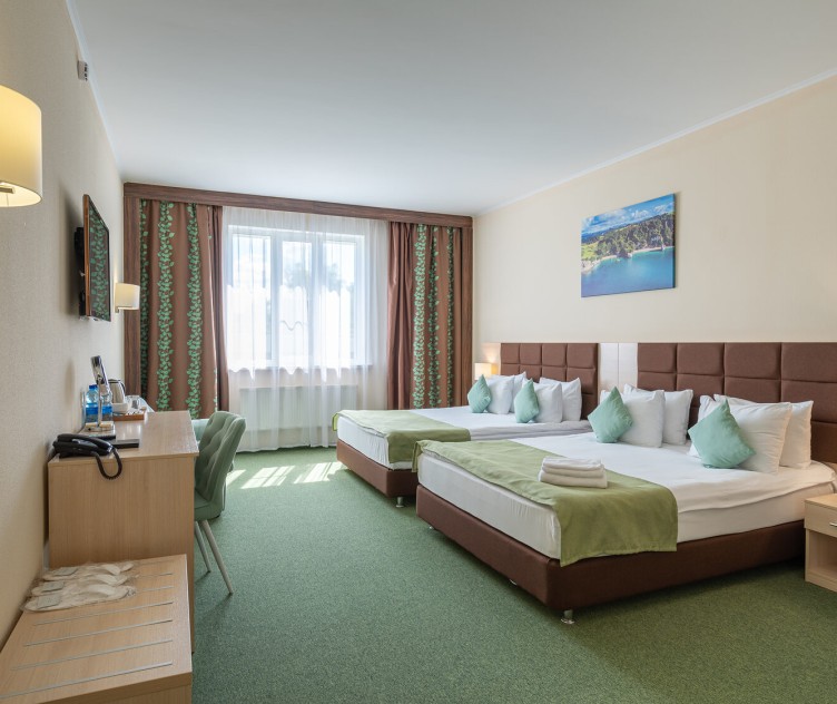 伏努科沃航空酒店 (Avion Vnukovo)