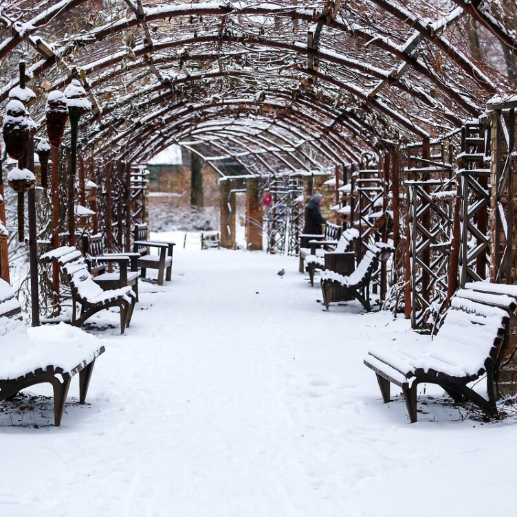 城市中心的绿洲：药剂师花园照片集锦