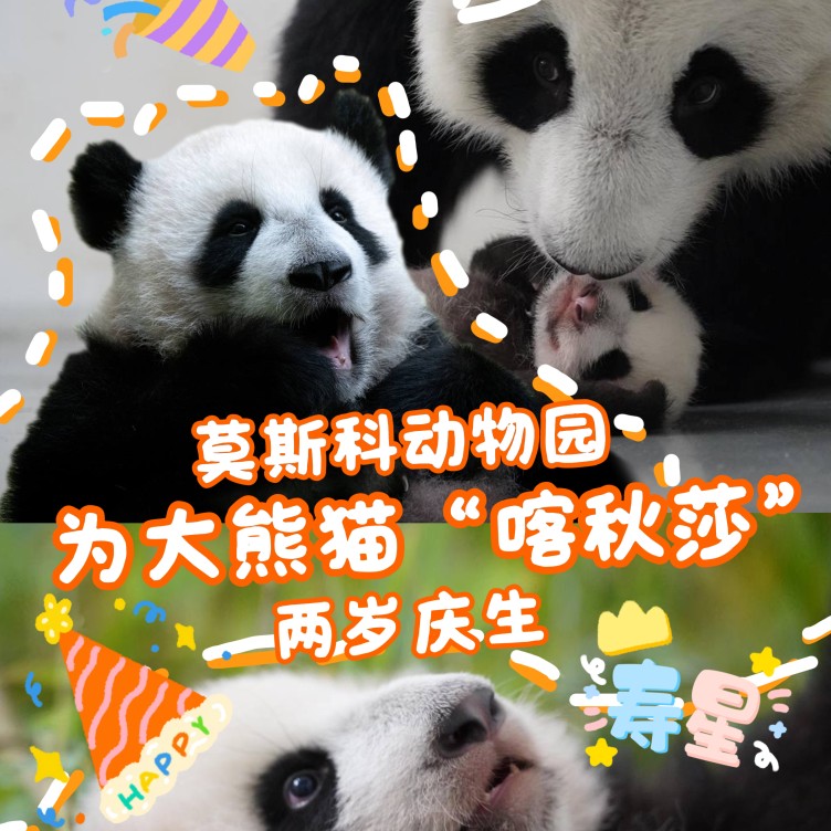 跟着熊猫喀秋莎探索莫斯科:中国文化之旅