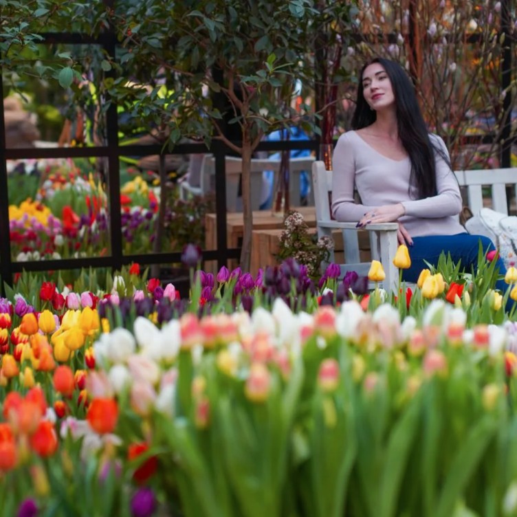 逾千朵郁金香将在"植物园'药草园'"